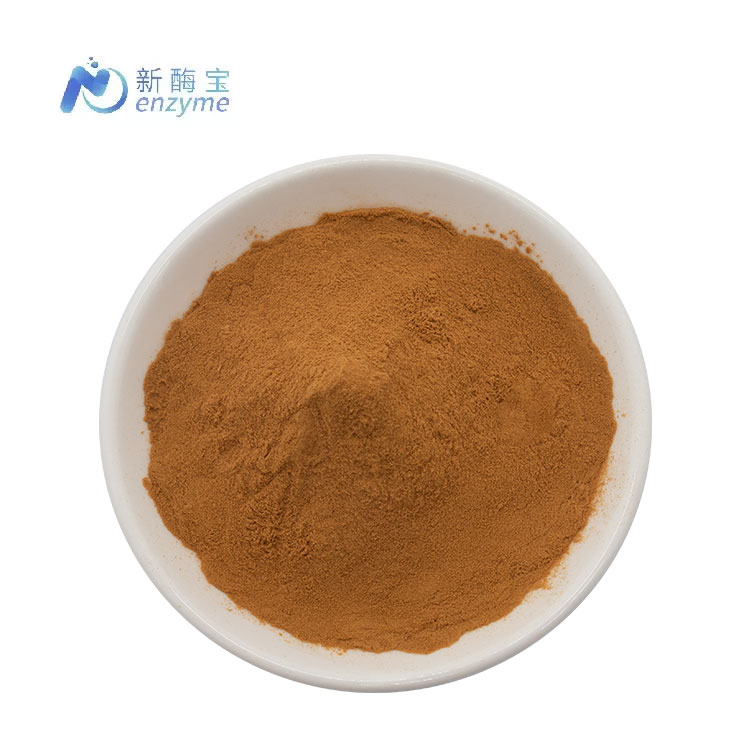 Cordyceps Militaris Extract